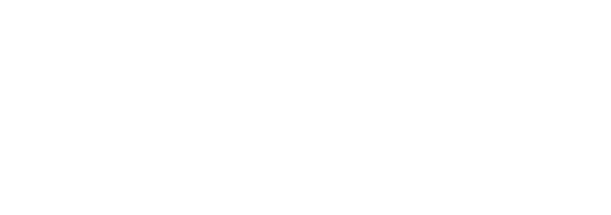 V-Key white logo