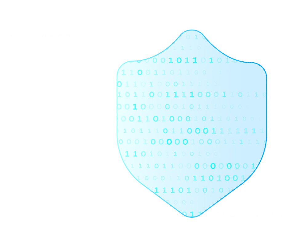 Cybersecurity data shield